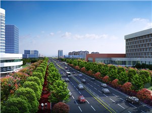 楓樹山路