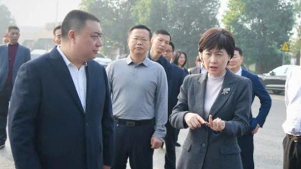 市委副書記、市長李愛武調(diào)研公司胥家橋綜合物流園項目建設(shè)
