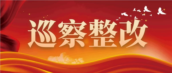 【巡察整改】中共岳陽市城市運營投資集團有限公司委員會關于八屆市委第二輪巡察整改進展情況的通報