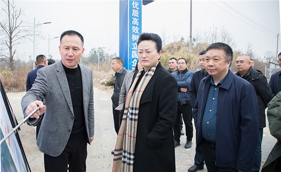 魏淑萍實(shí)地調(diào)研G353岳陽東站至洞庭湖大橋公路工程項(xiàng)目